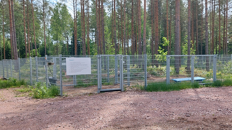 Taivassalon_koirapuisto_750px_05.jpg