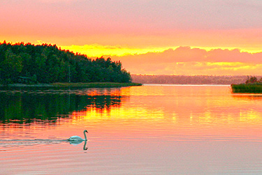 Ympäristö ja luonto