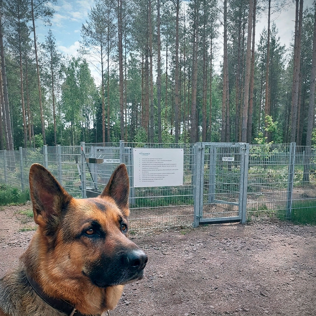 #