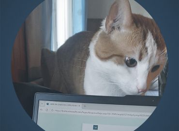 Liikkuva Saaristo -hankkeen asiakastarinoita - Hetkien Helmi&auml;
