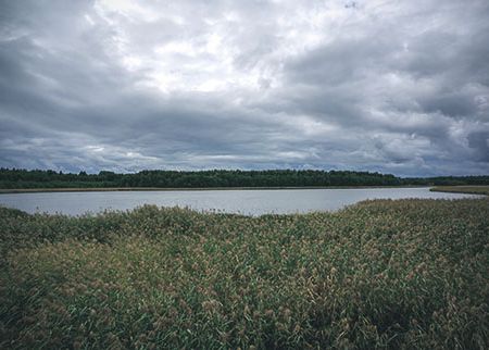Ravinneneutraali Taivassalo