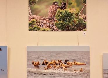 Kirjaston maaliskuun n&auml;yttely on Raija Leino-Pietil&auml;n Hetkest&auml; kiinni