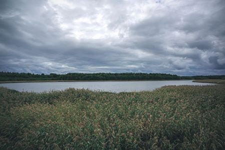 Ravinneneutraali Taivassalo